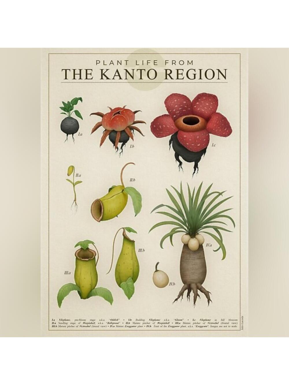 Pokémon Art Posters - Realism